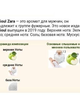 Zara grey soul 100ml чоловіча туалетна вода.рідкість.4 фото