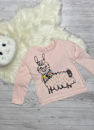 Реглан 4-5 років