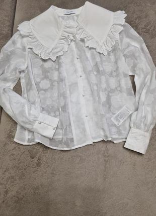 Білосніжна сорочка із шикарним коміром1 фото
