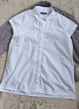 Поплінова біла сорочка блузка від tommy hilfiger