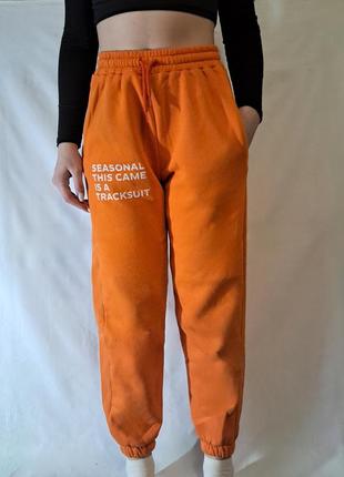 Спортивні джогери, спортивні штани