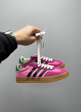 Кросівки adidas gazelle × gucci velvet pink green