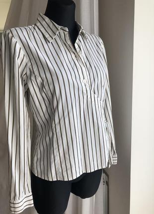 Стильная блузка liz claiborne p.62 фото