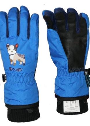 Детские перчатки echt горнолыжные, синий (c082-blue) - 8-9 років