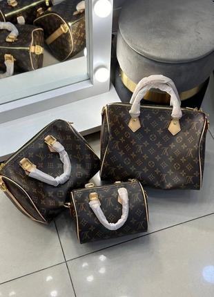 Luis vuitton speedy