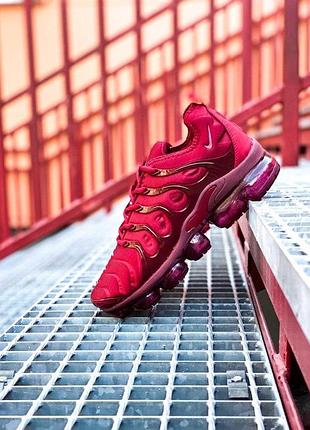 Мужские кроссовки  nike air vapormax plus "bordo"