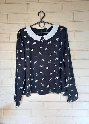 Блузка размер евро 38