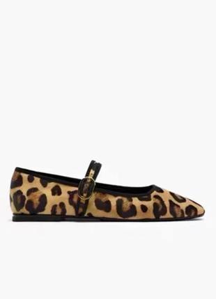 Балетки леопард zara 4