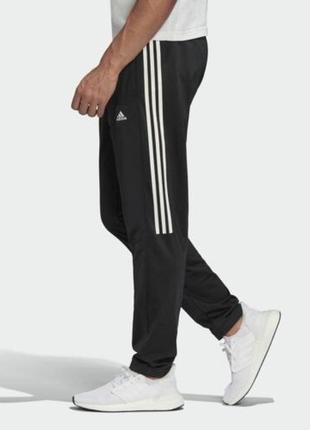 Мужские спортивные штаны adidas