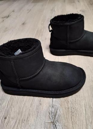 Черевики ugg1 фото