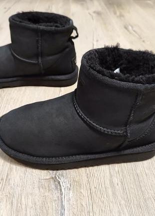 Черевики ugg3 фото