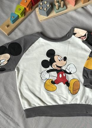 Кофта mickey mouse 9-12