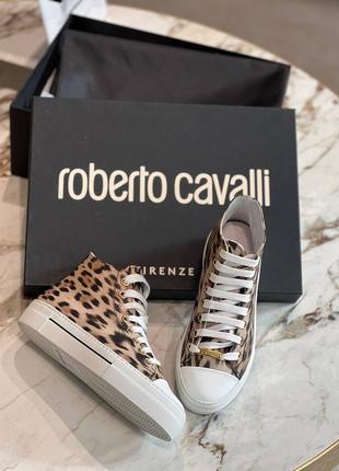 Roberto cavalli, оригинал! скидка! доставка из итальянии, подписка 50%