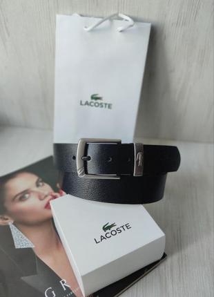 Мужской ремень lacoste черный в подарочной коробке3 фото