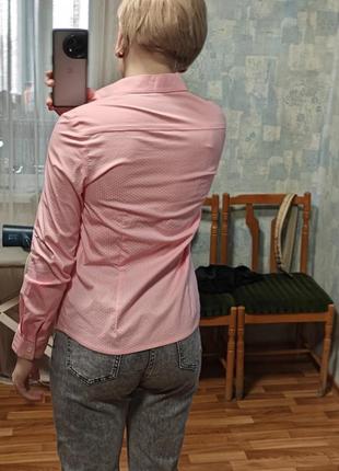 Рожева сорочка в горошок petrosoroka3 фото