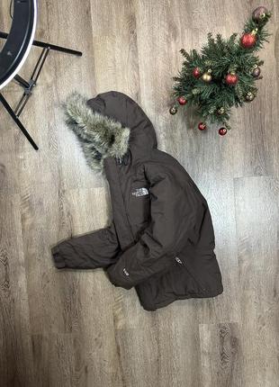 Пуховик the north face 550 down1 фото