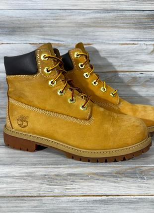 Timberland 6-inch premium primaloft оригінальні черевики