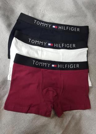 Труси набір tommy hilfiger стандартні і великі розміри