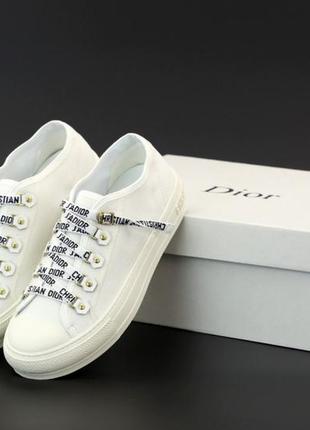 Кеди жіночі dior sneakers розпродаж