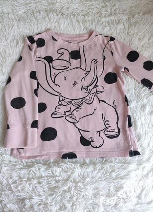 Лонгслів з данбо