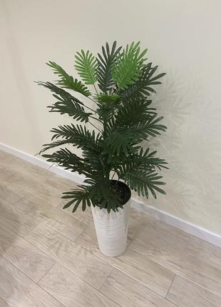 Латексна пальма