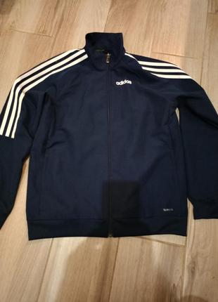 Вітровка кофта adidas 11-12р.