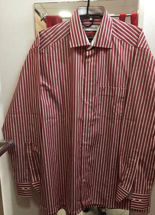 Стильна фірмова сорочка