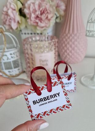 Пакетики для кукол burberry