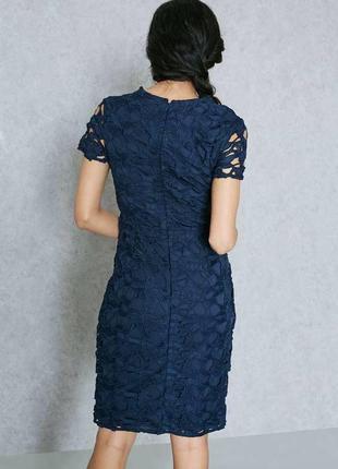 Синее кружевное платье dorothy perkins6 фото