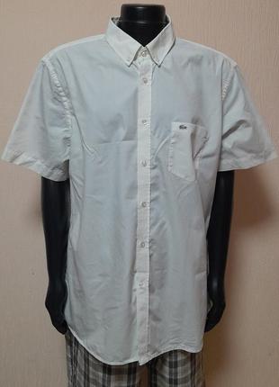 Стильная хлопковая рубашка с короткими рукавами цвета шампань lacoste regular fit