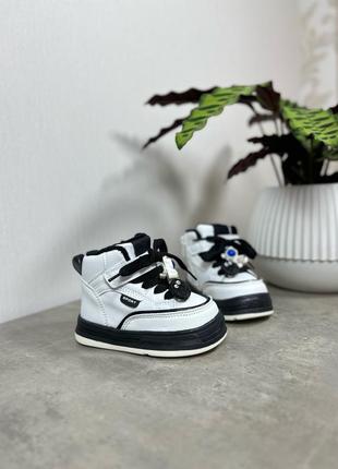 Хайтопы от тм paliament