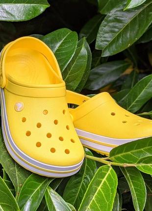 Сабо крокс крокбэнд клог желтые лимони crocs crocband clog yellow lemon/white