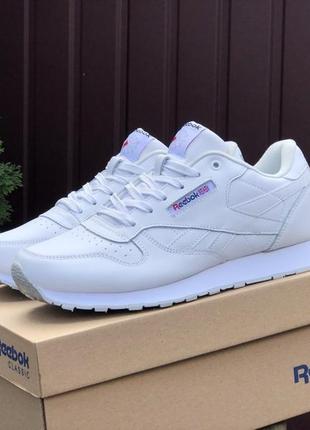 Демісезонні кросівки «reebok classic»