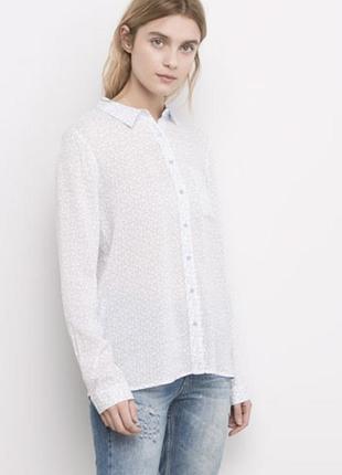 Голубая легенька рубашка pull and bear