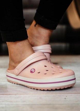 Крокс крокбенд клог сабо пудрові crocs crocband clog pearl pink/wild orchid1 фото