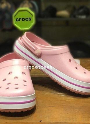 Крокс крокбенд клог сабо пудрові crocs crocband clog pearl pink/wild orchid5 фото