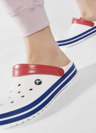 Крокс крокбэнд клог белые crocs crocband white blue clog6 фото