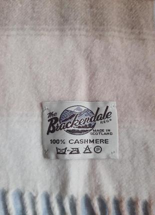 Шарф кашемир bracrendale