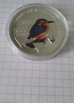 1000 даласі. африканський пігмейський зимородок. гамбія. 2015