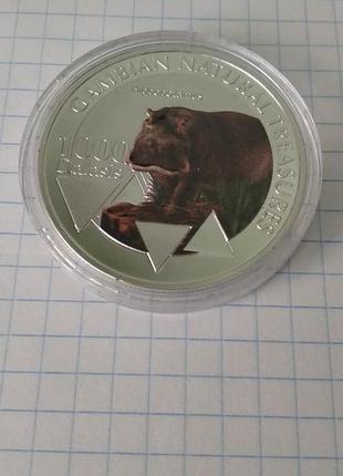 1000 даласі. гіпопотам. гамбія. 2015