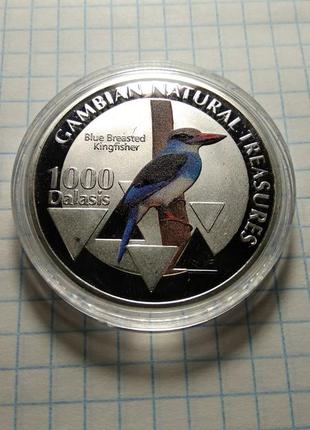 1000 даласи. синегруда альциона. гамбия. 2015.