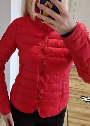 Куртка, курточка