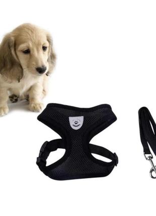 Шлейка та повідець