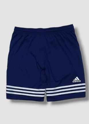 Шорти adidas climalite