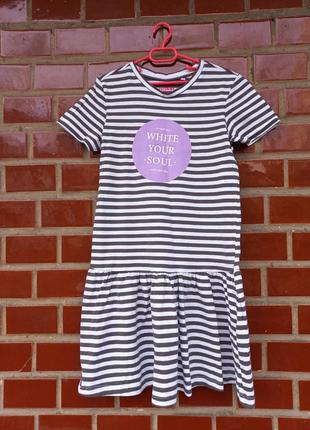 Сукня смужка принт