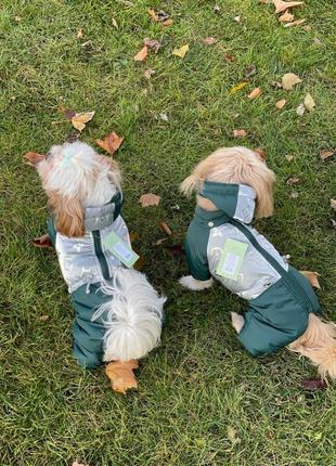 Комбинезон светлячок силикон (мальчик) - s2