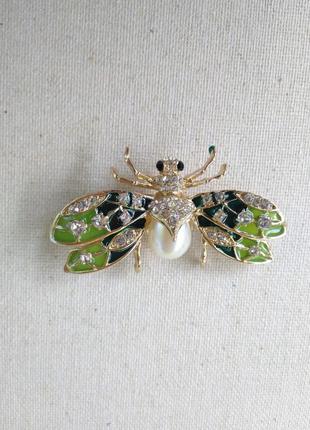 Велика брошка комаха муха бжола