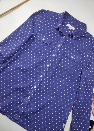 Рубашка женская синяя в белый горох от бренда kew 159 s3 фото