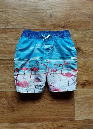 Красивые шорты