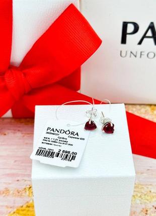 Серебряное кольцо кольцо кольцо пандора pandora s925 ale с биркой и пломбой 925 проба серьги колье ожерелье серебряный набор украшений комплект8 фото